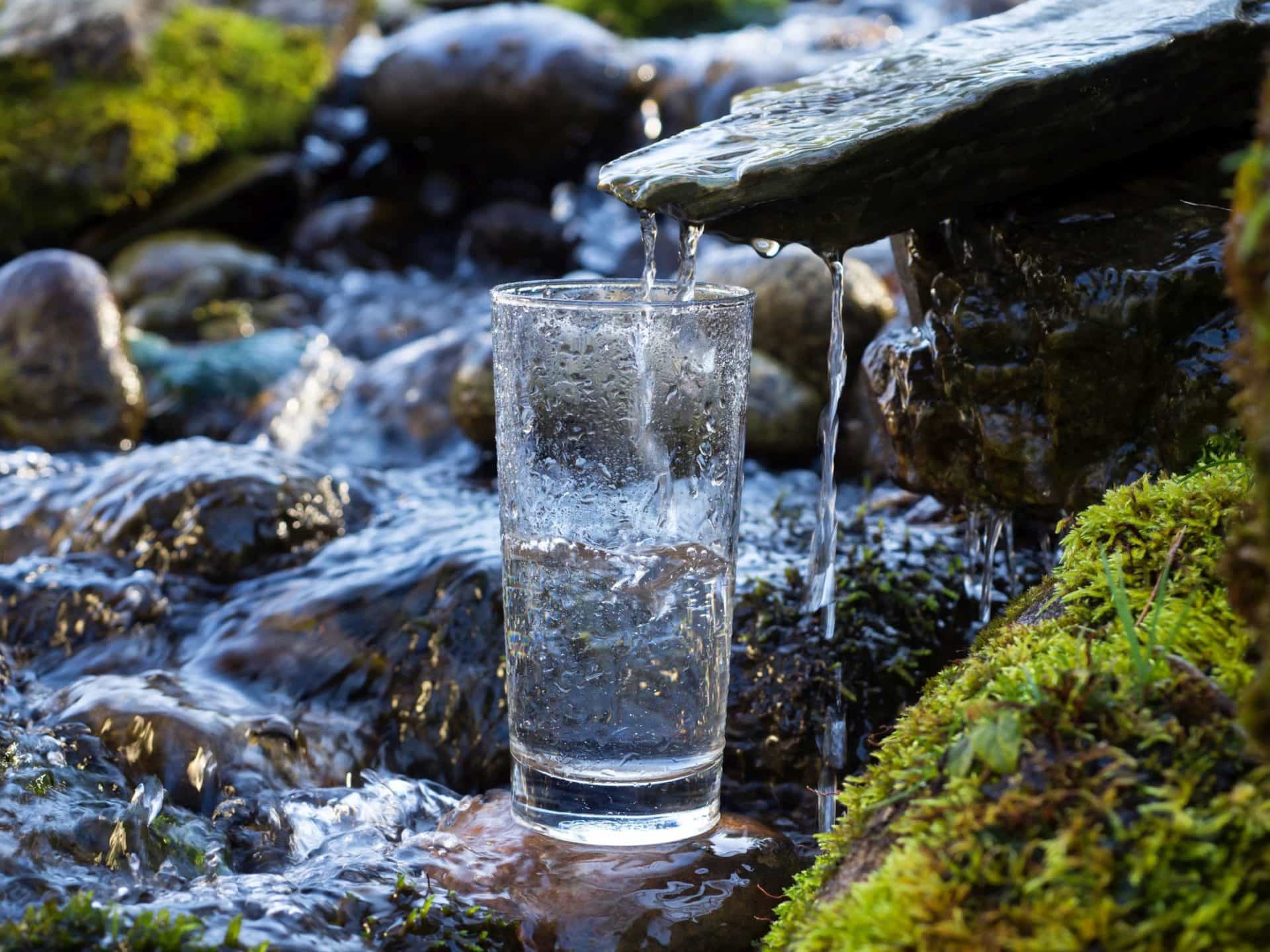 Der vitalisierende Trinkwasserfilter vital premium von perma-trade